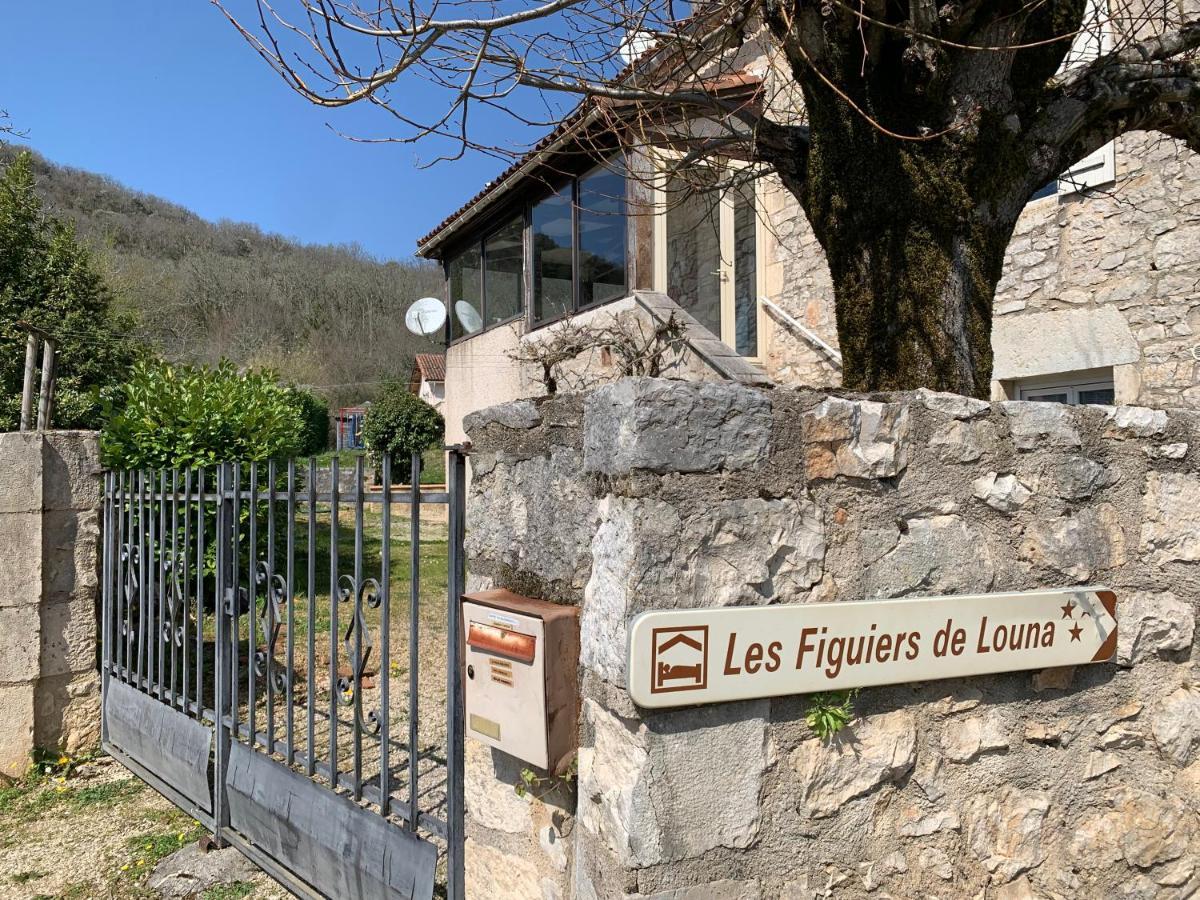 Les Figuiers De Louna - Pierre Ensoleillee - 110 M2 Et Une Veranda Saint-Géry Exterior photo