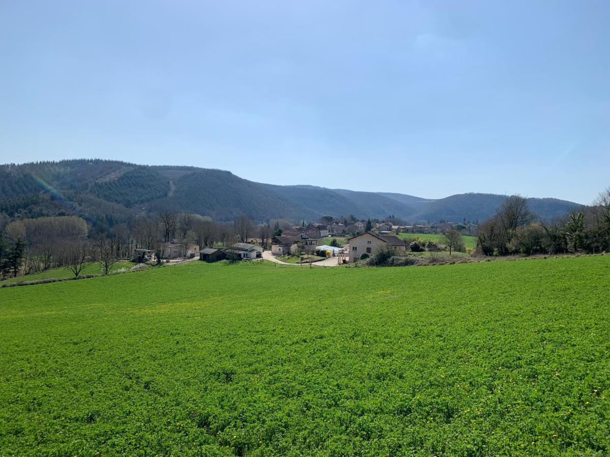 Les Figuiers De Louna - Pierre Ensoleillee - 110 M2 Et Une Veranda Saint-Géry Exterior photo